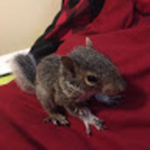 Meet your Posher, Abigail